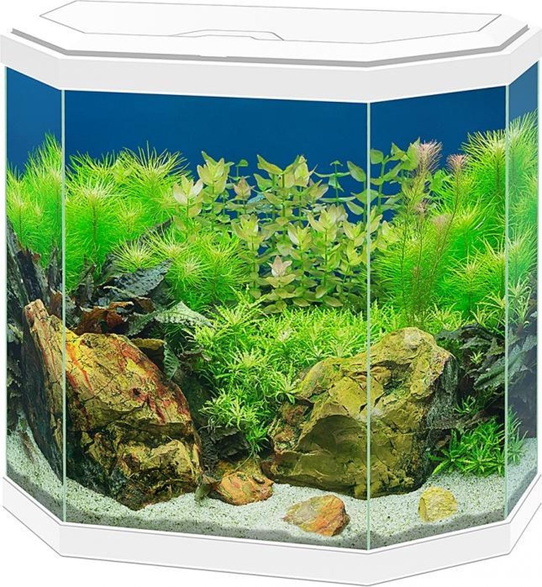 Ciano Aquarium aqua 30 led Wit 40x20x45