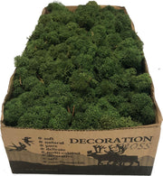 MosBiz Rendiermos Natural / Wit per 500 gram voor decoraties