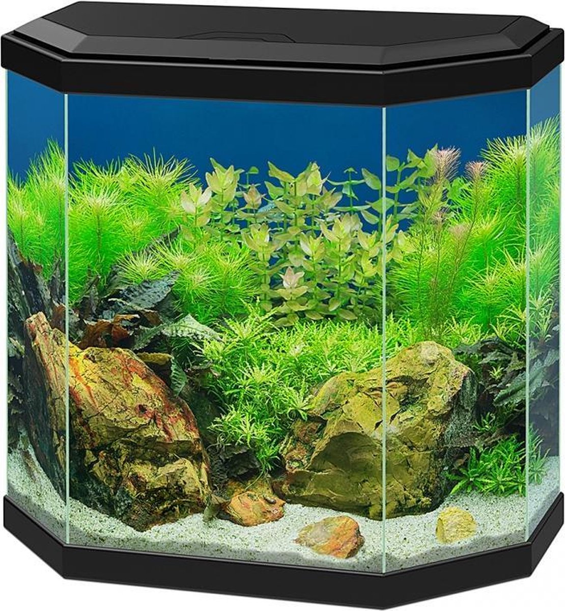 Ciano Aquarium aqua 30 led Zwart 40x20x45