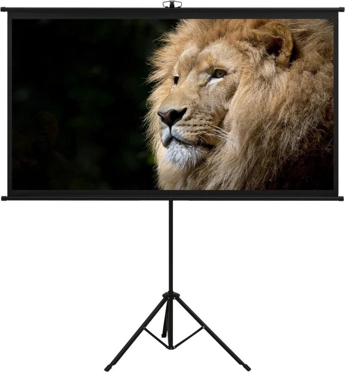 vidaXL Projectiescherm met statief 16:9 90''