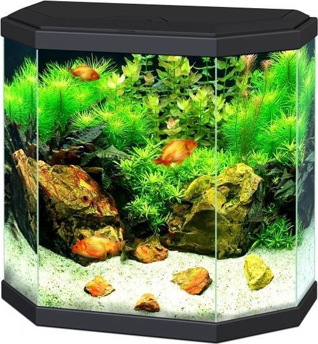 Ciano Aquarium Aqua 30 LED Zwart