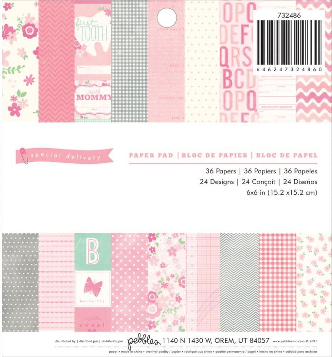 Pebbles: Girl Special Delivery Paper Pad 6X6" (80016)