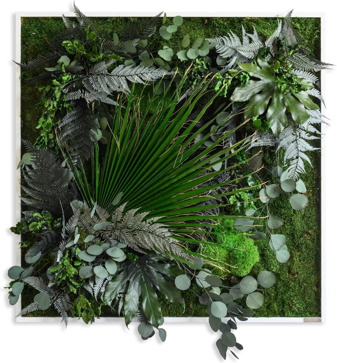 Stylegreen Verticale tuin - Jungle Design - 80 x 80cm