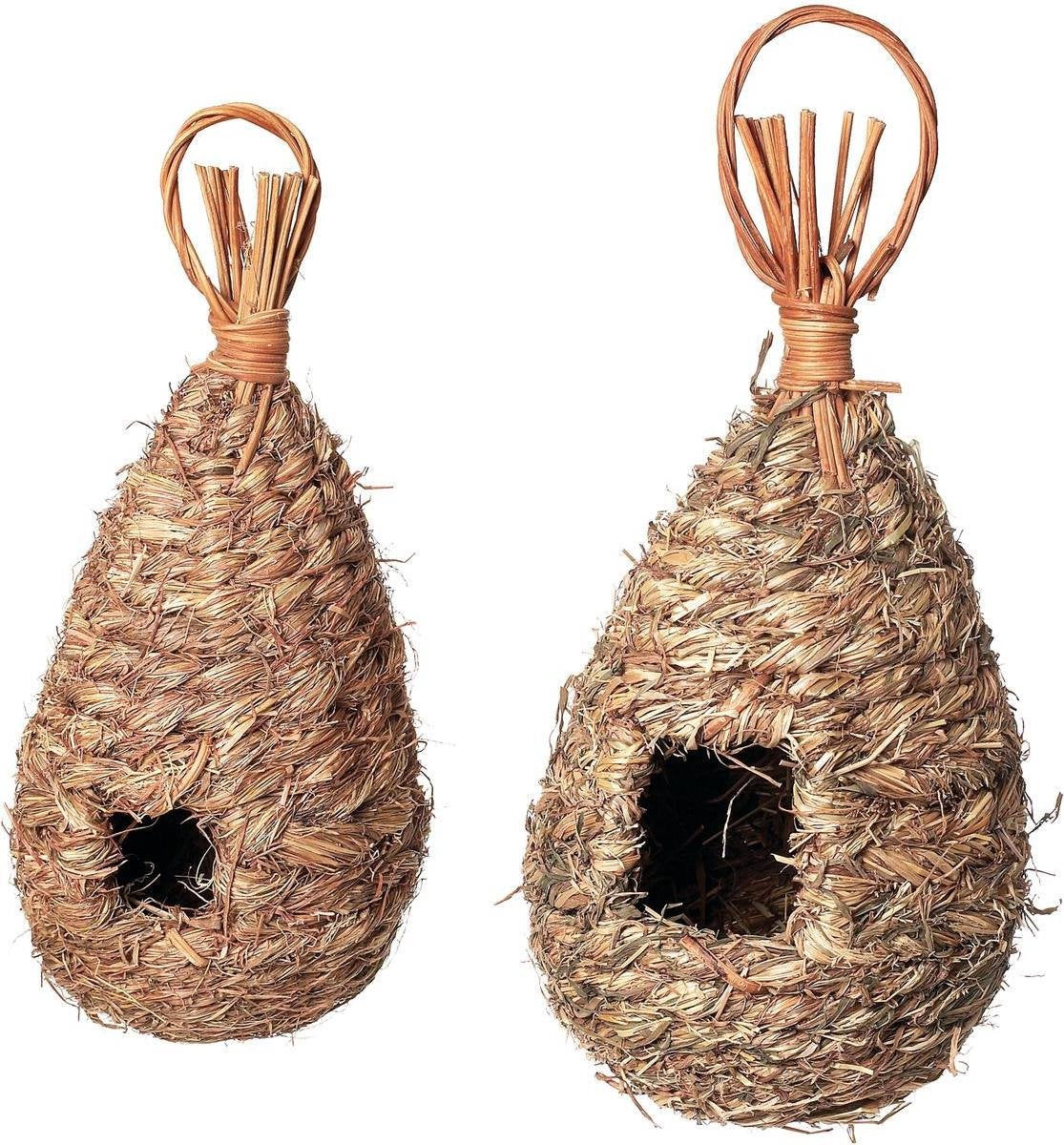 Bird nest