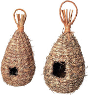 Bird nest