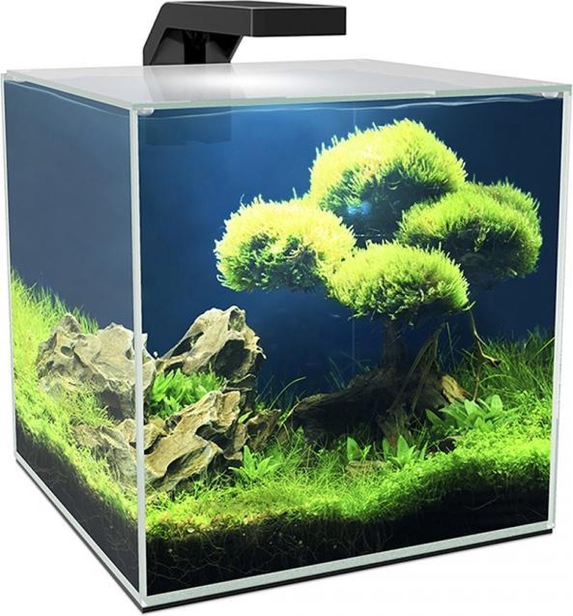 Ciano Aquarium cube 10 led 9