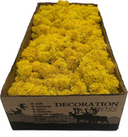 MosBiz Rendiermos Lemon per 500 gram voor decoraties