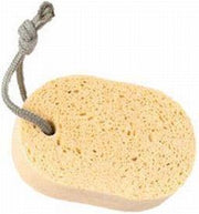 Earth - Cellulosespons