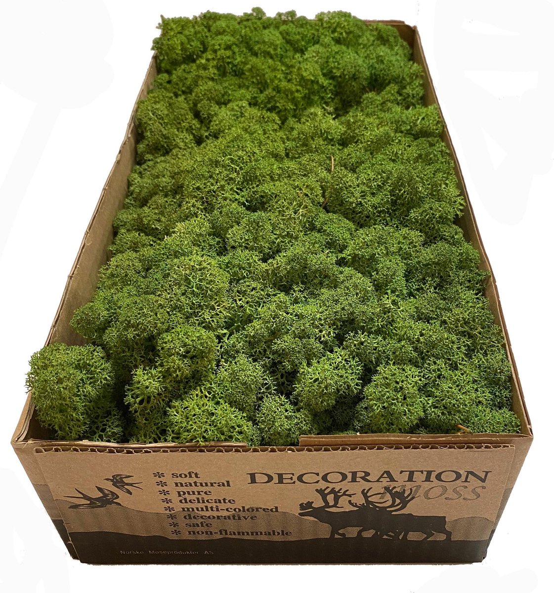 MosBiz Rendiermos midden groen per 500 gram voor decoraties