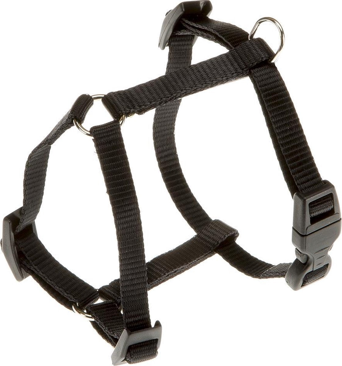 Champion p xs harnais noir