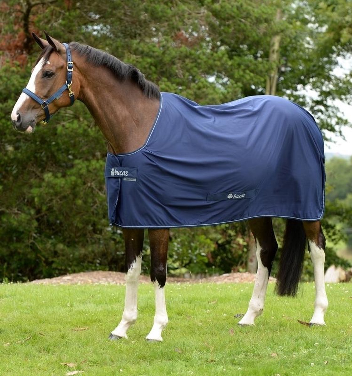 Bucas Power Cooler 107 Navy Zilver