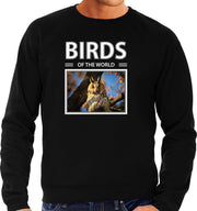 Dieren foto sweater Ransuil - zwart - heren - birds of the world - cadeau trui uilen liefhebber 2XL