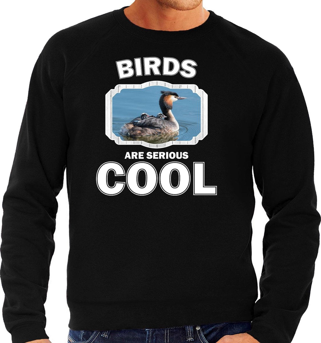 Dieren vogels sweater zwart heren - birds are serious cool trui - cadeau sweater fuut vogel/ vogels liefhebber 2XL