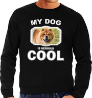 Chow chow honden trui / sweater my dog is serious cool zwart - heren - Chow chows liefhebber cadeau sweaters S