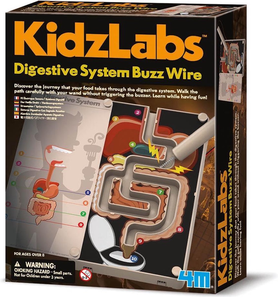 4m Kidzlabs: Stresstester Spijsverteringssysteem