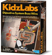 4m Kidzlabs: Stresstester Spijsverteringssysteem