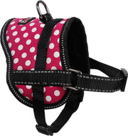 Comfortabel harnas voor kleinere hondjes of katten - ROZE - LARGE