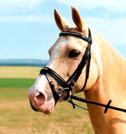USG Hoofdstel Hoofdstel Charming - Zwart - Pony