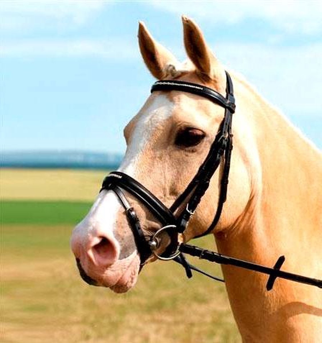 USG Hoofdstel Hoofdstel Charming - Zwart - Pony