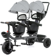 Chipolino tweeling driewieler - duo driewieler voor 2 kinderen "2PLAY" MIST
