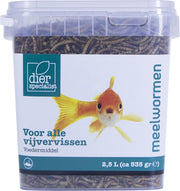 Dierspecialist meelwormen - 2