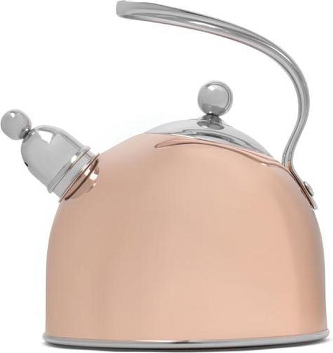 Bredemeijer Fluitketel 2