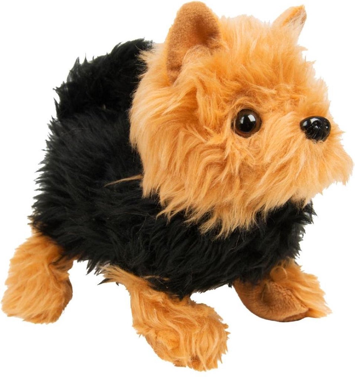 Walk Along Fluffy Pup