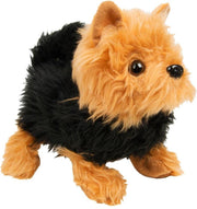 Walk Along Fluffy Pup
