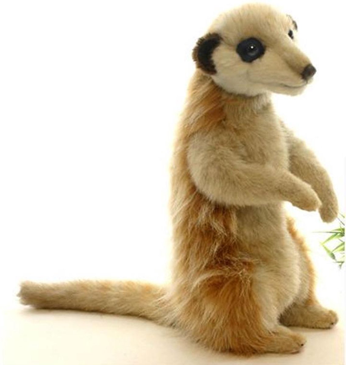 Zittend Stokstaart Knuffel