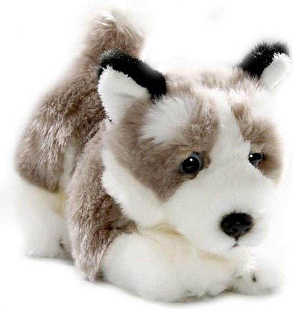 Bicolini Knuffelhond Husky 23 Cm
