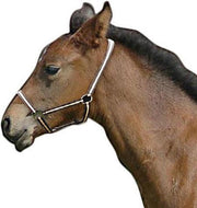 Kerbl Halster Hippo Bruin/beige 00 Veulen/mini