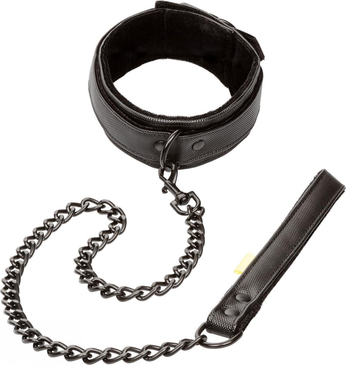 Boundless Collar & Leash