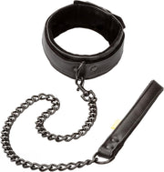 Boundless Collar & Leash