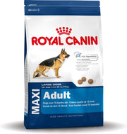Royal Canin Maxi Adult - Hondenvoer - 4 kg