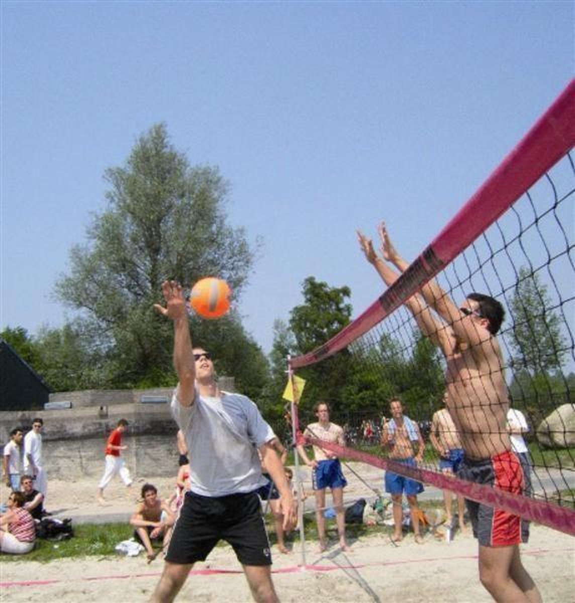 Amigo Beachvolleybalnet Recreatie Zwart/roze 850 X 100 Cm