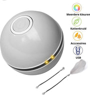 LaBi Speelgoed Kat - Hond - Interactief Rollende Bal - USB - Grijs