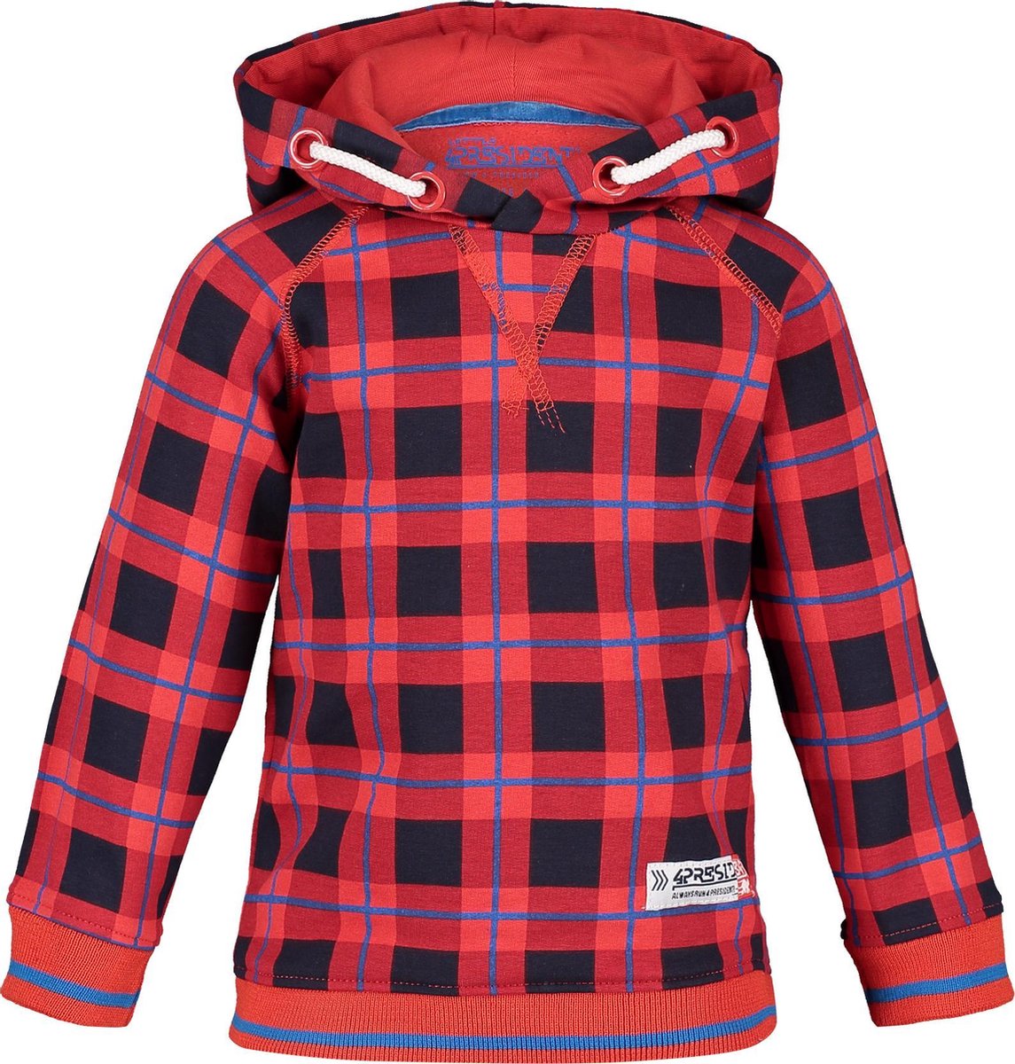 4President hoodie Tyler ruit