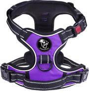 Frenkiez reflective no pull lockable harness