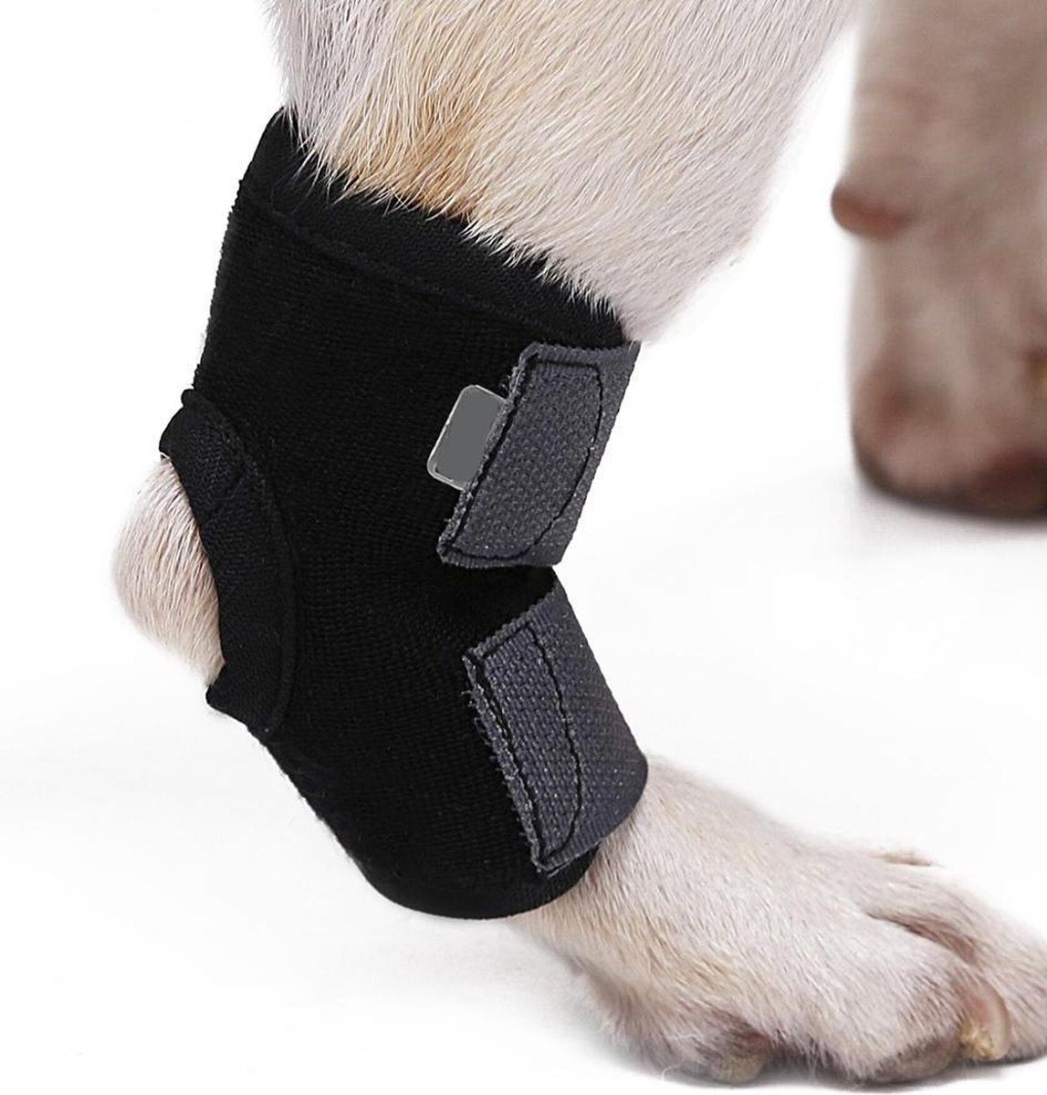 Honden brace voorpoot of achterpoot - Bescherming - Extra large - Zwart