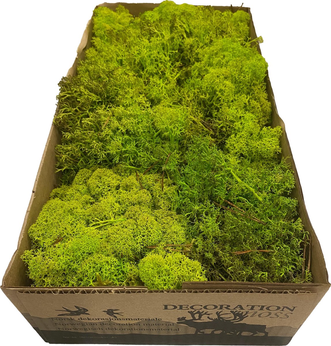 Mos | silvermos| rendiermos| 500gram |Spring Green