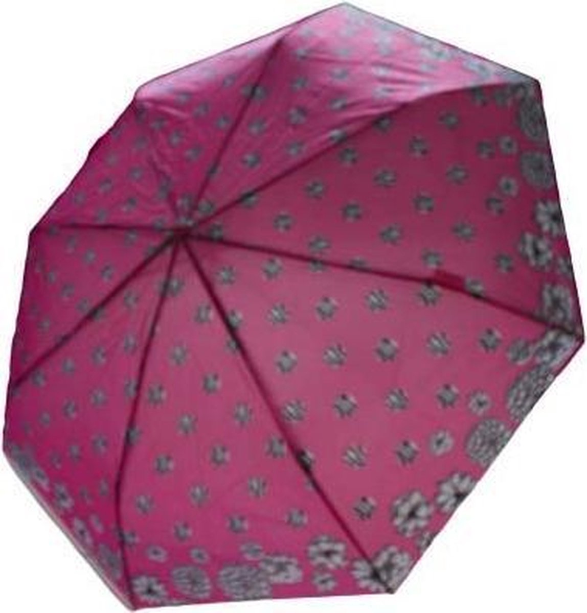 Paraplu