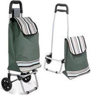 Boodschappentrolley groene strepen| 94x24x34cm | Shoppingtrolley | Opvouwbaar | Boodschappentas met wielen |