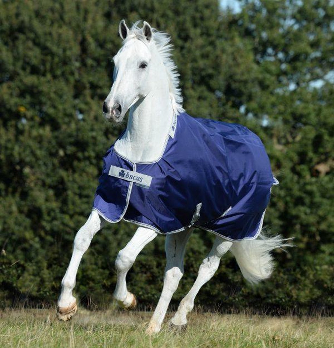 Bucas Atlantic Turnout 50g 160 Navy