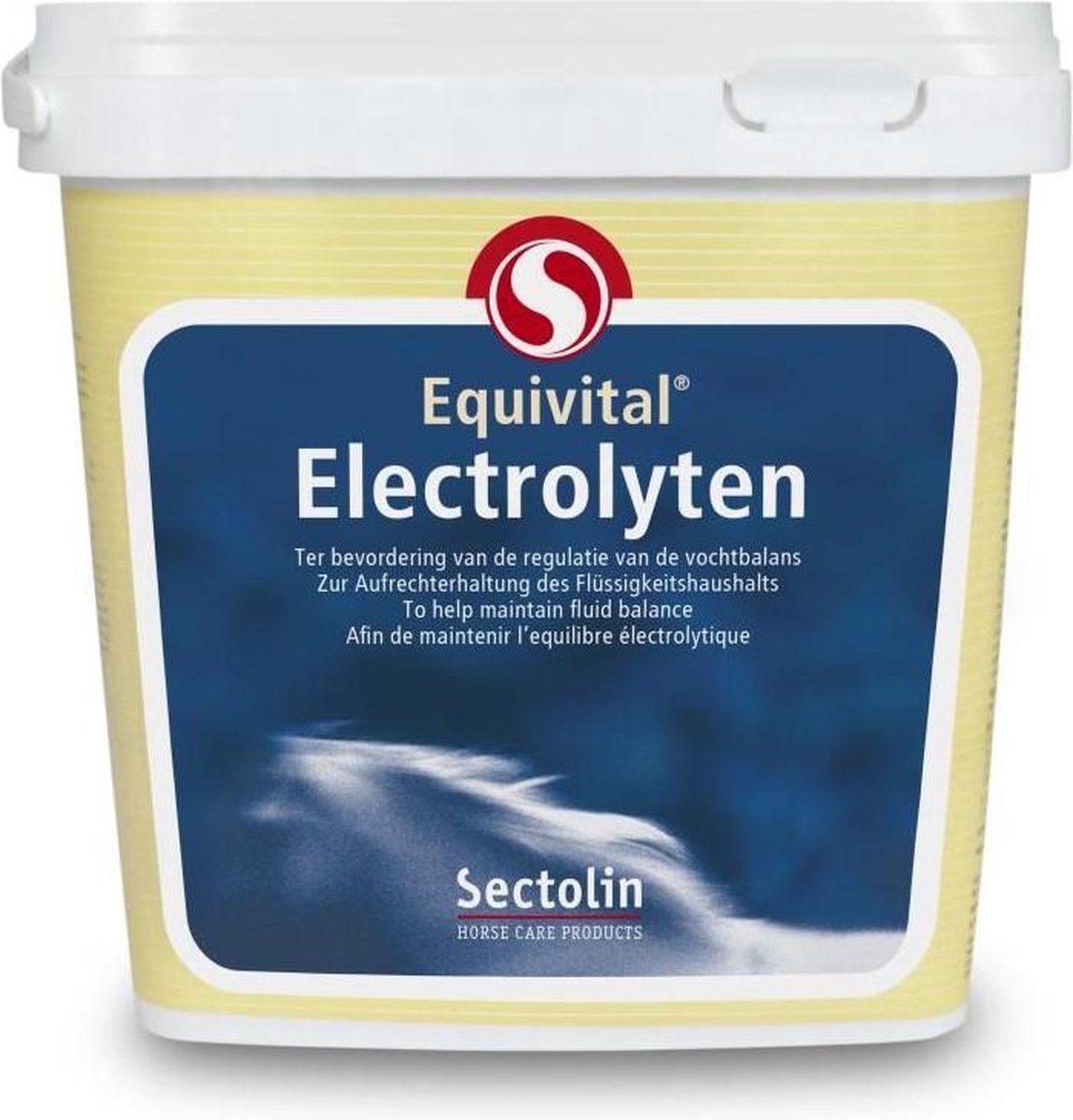 Sectolin Equivital Electrolyten - 500 g