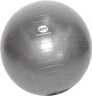 Bodytone Gb 55 Fitness Ball - Maat ONESIZE