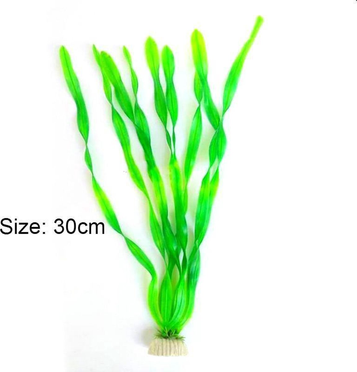 Aquarium plant - nepplant - waterplant groen met lange bladeren