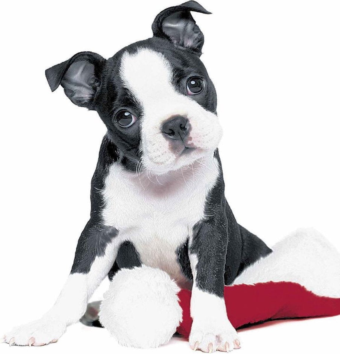 Duni Servetten Xmas Dog 3-laags 33 X 33 Cm Papier Wit 20 Stuks