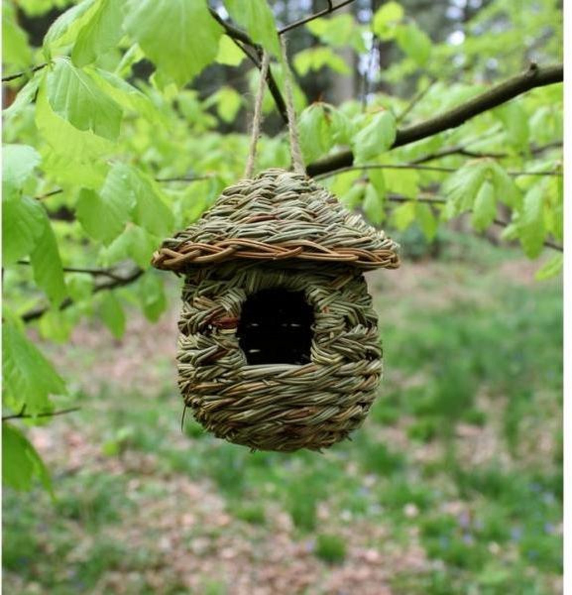 Nestbuidel in riet rond dakje