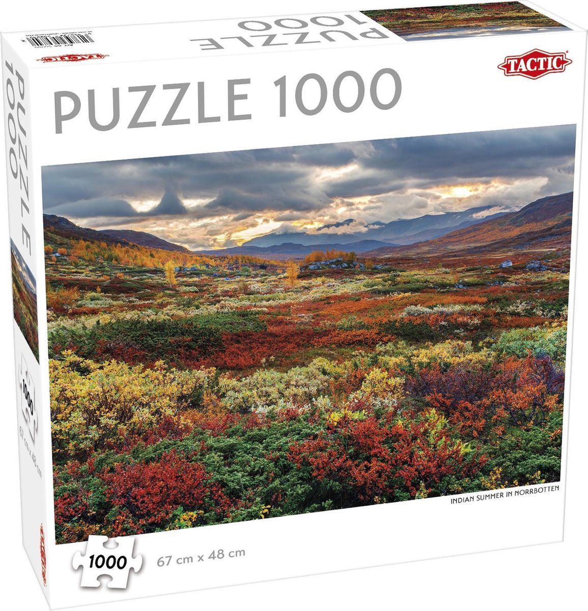 Indian Summer in Norrbotten - 1000 stukjes