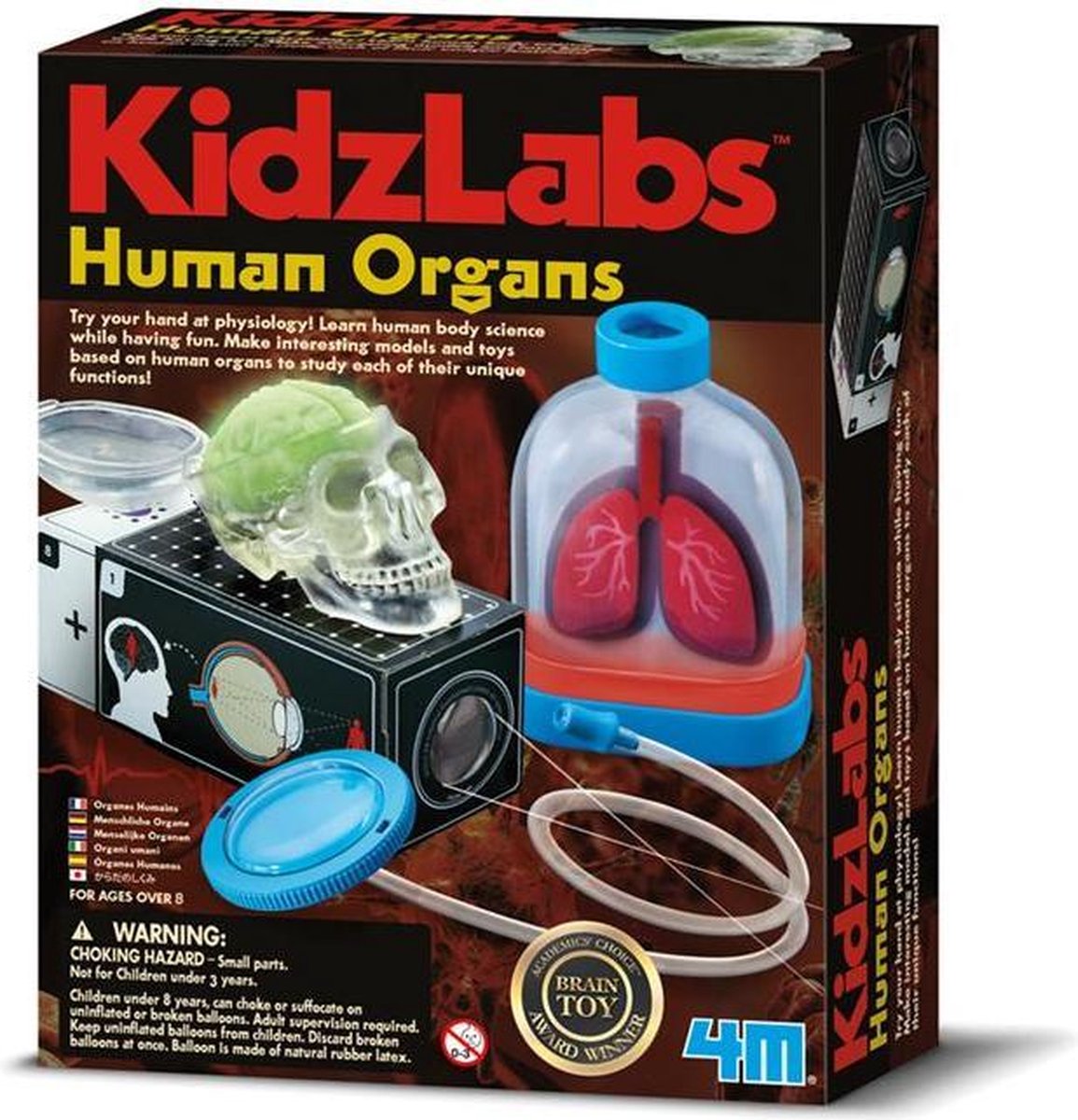 Experimentenset - KidzLabs - Menselijke organen